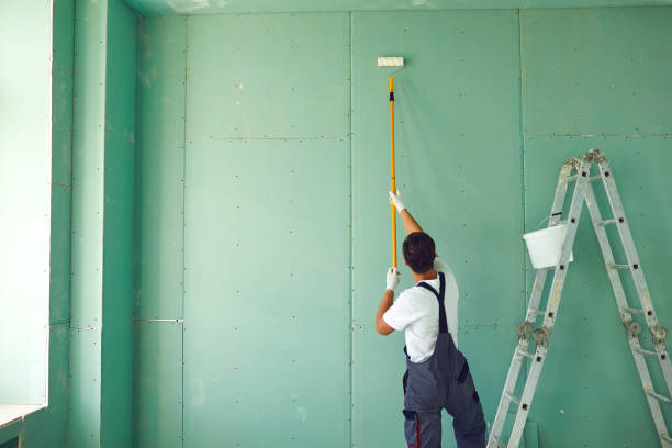  Palm Valley, FL Mold Removal Pros