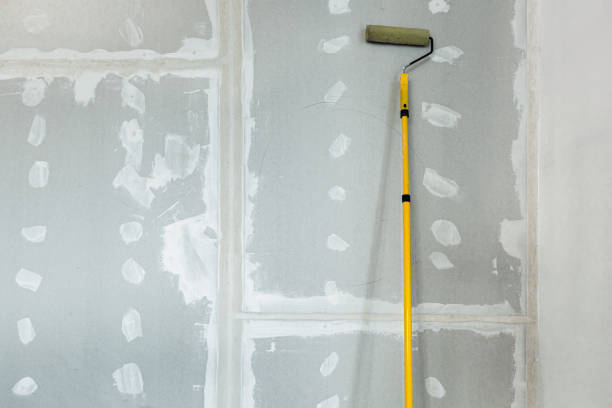 Best Mold Prevention Services  in Palm Valley, FL