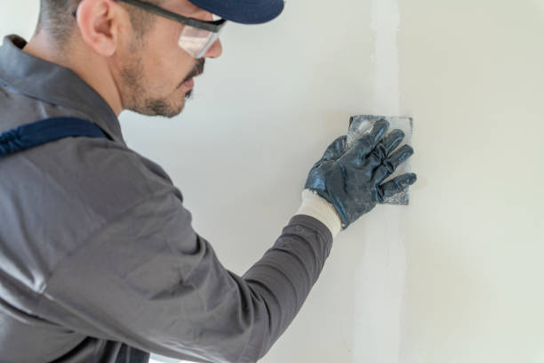 Best Attic Mold Removal  in Palm Valley, FL