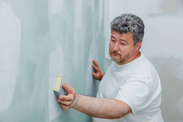 Best Mold Damage Restoration  in Palm Valley, FL