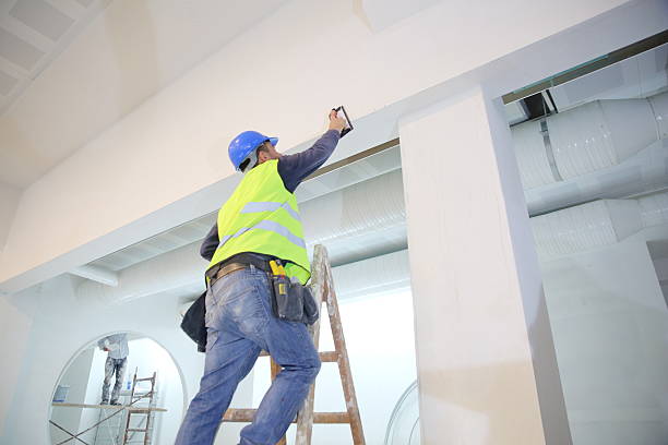 Forensic Mold Investigation in Palm Valley, FL